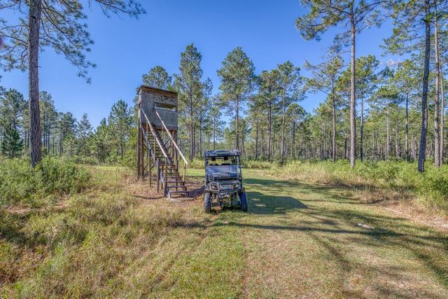 1650 Bear Bay Flats Rd Road, Laurel Hill, FL 32567