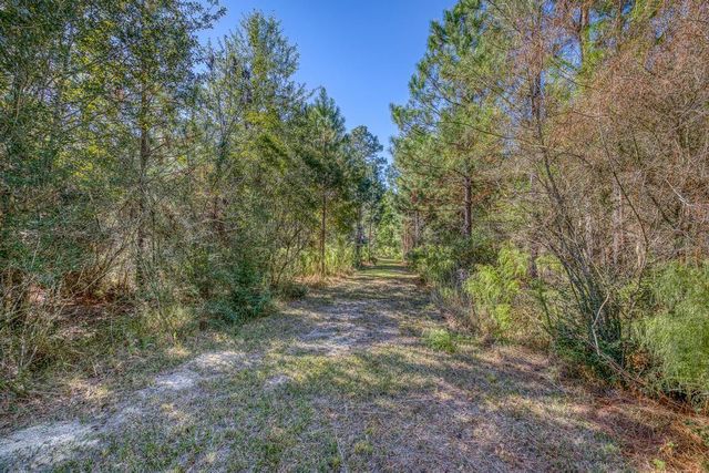 1650 Bear Bay Flats Rd Road, Laurel Hill, FL 32567