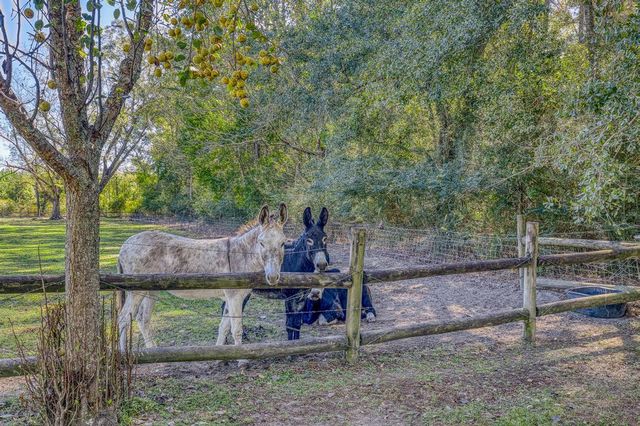 1650 Bear Bay Flats Rd Road, Laurel Hill, FL 32567