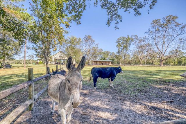 1650 Bear Bay Flats Rd Road, Laurel Hill, FL 32567