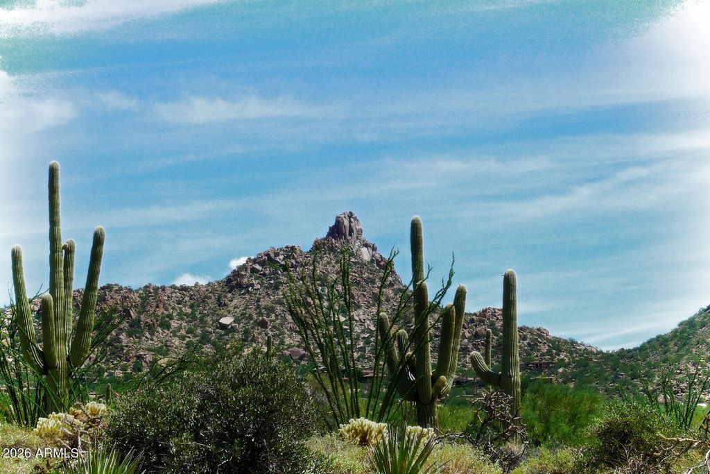Image 45 of property listing at 28835 N 111TH Street, Scottsdale, AZ 85262
