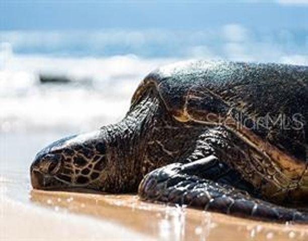 7454 PALM ISLAND DRIVE 3311, Placida, FL 33946