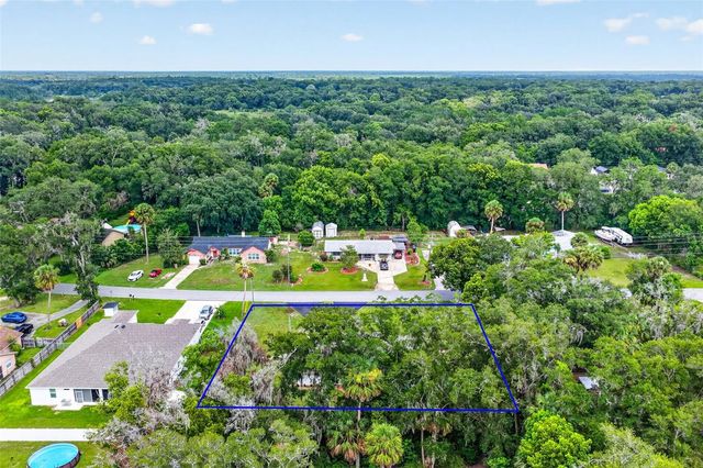 31151 DEAL DRIVE, Mount Plymouth, FL 32776