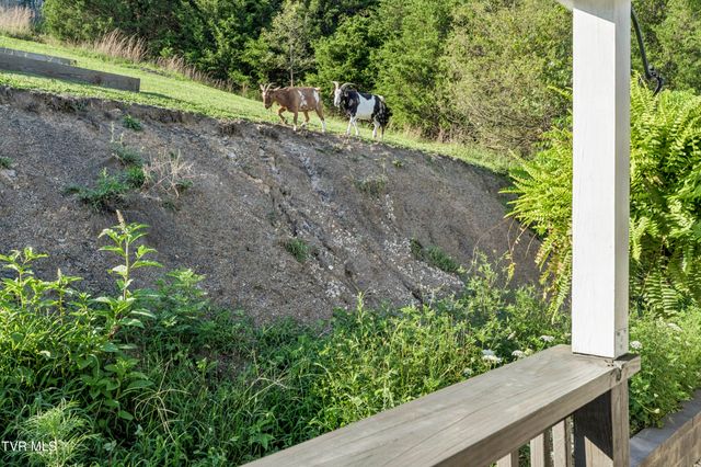 336 Ethel Beard Road, Blountville, TN 37617