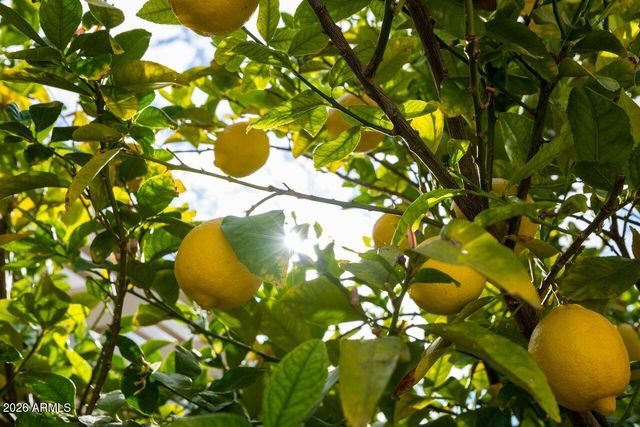 16375 W WHITTON Avenue, Goodyear, AZ 85395