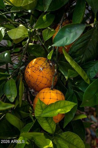 16375 W WHITTON Avenue, Goodyear, AZ 85395