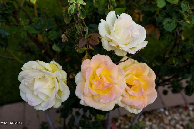 16375 W WHITTON Avenue, Goodyear, AZ 85395