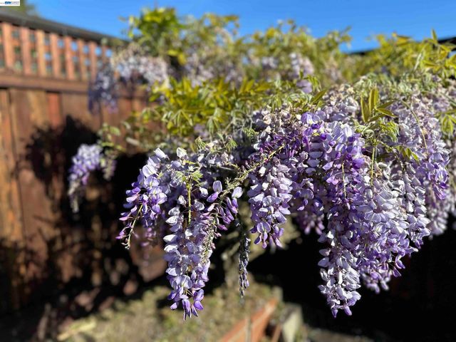 1368 Rose St, Berkeley, CA 94702