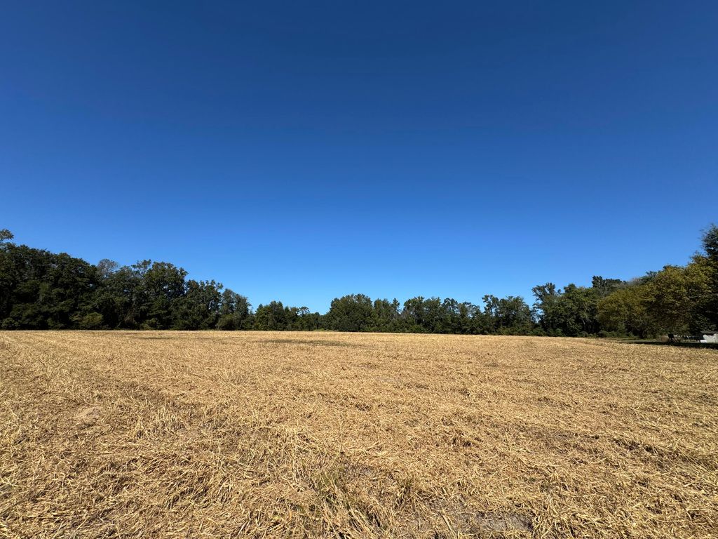 0 Clarks Hill Drive 3, Saint George, SC 29477