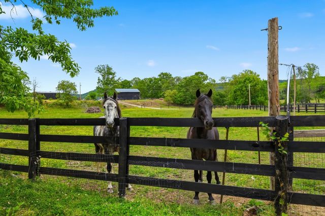 156 Callies Way, Berea, KY 40403