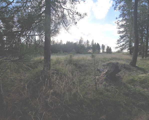 16812 W BIG SKY Ln, Nine Mile Falls, WA 99026