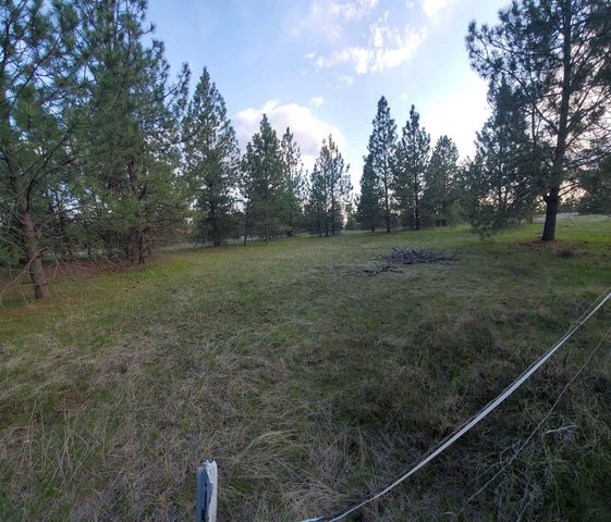 16812 W BIG SKY Ln, Nine Mile Falls, WA 99026