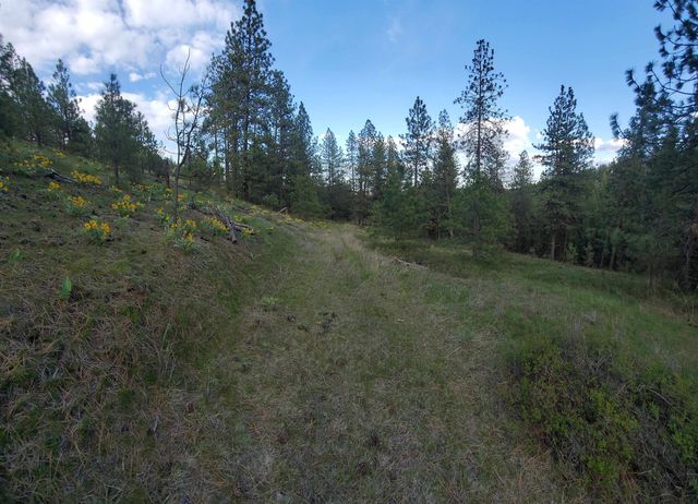 16812 W BIG SKY Ln, Nine Mile Falls, WA 99026