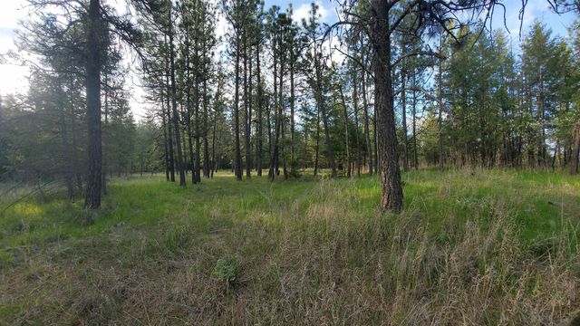 16812 W BIG SKY Ln, Nine Mile Falls, WA 99026
