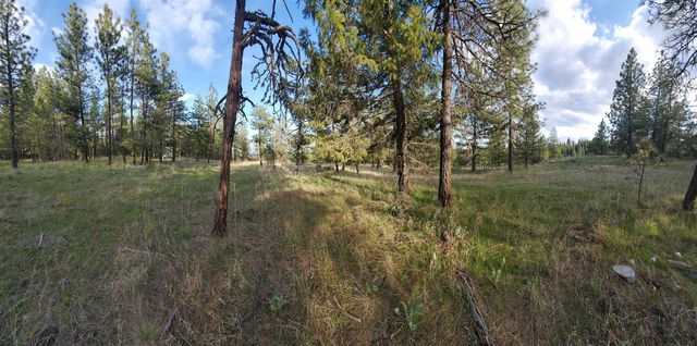 16812 W BIG SKY Ln, Nine Mile Falls, WA 99026