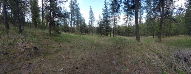 16812 W BIG SKY Ln, Nine Mile Falls, WA 99026