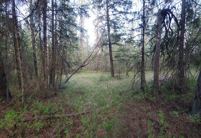 16812 W BIG SKY Ln, Nine Mile Falls, WA 99026
