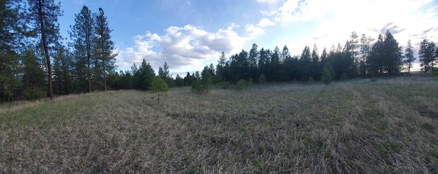 16812 W BIG SKY Ln, Nine Mile Falls, WA 99026