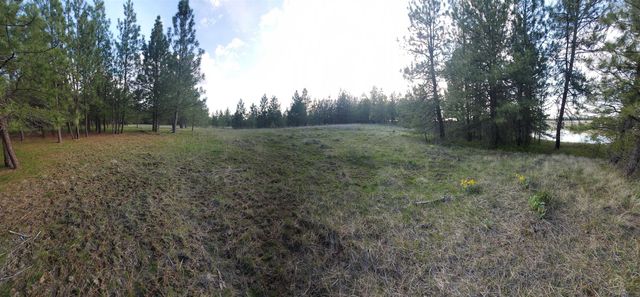 16812 W BIG SKY Ln, Nine Mile Falls, WA 99026