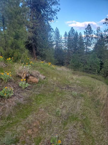 16812 W BIG SKY Ln, Nine Mile Falls, WA 99026