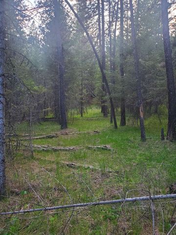 16812 W BIG SKY Ln, Nine Mile Falls, WA 99026