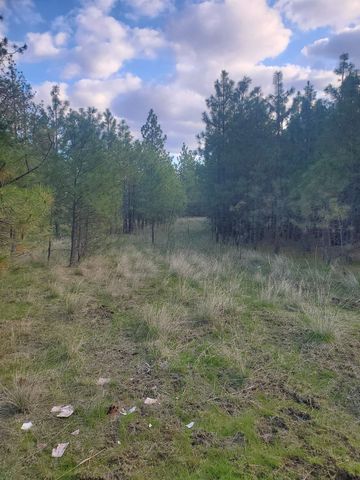 16812 W BIG SKY Ln, Nine Mile Falls, WA 99026