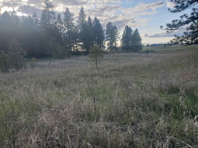 16812 W BIG SKY Ln, Nine Mile Falls, WA 99026