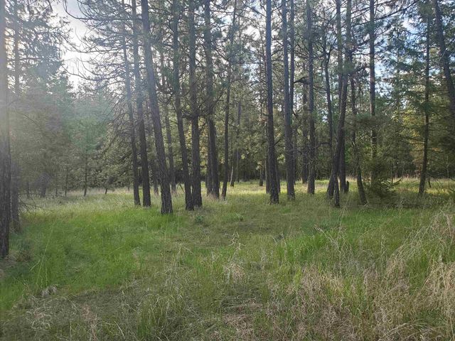 16812 W BIG SKY Ln, Nine Mile Falls, WA 99026