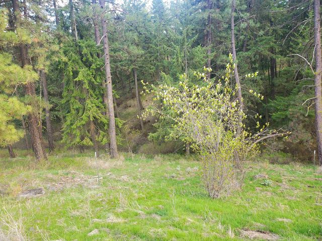 16812 W BIG SKY Ln, Nine Mile Falls, WA 99026