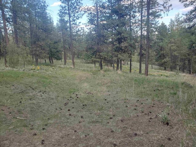 16812 W BIG SKY Ln, Nine Mile Falls, WA 99026