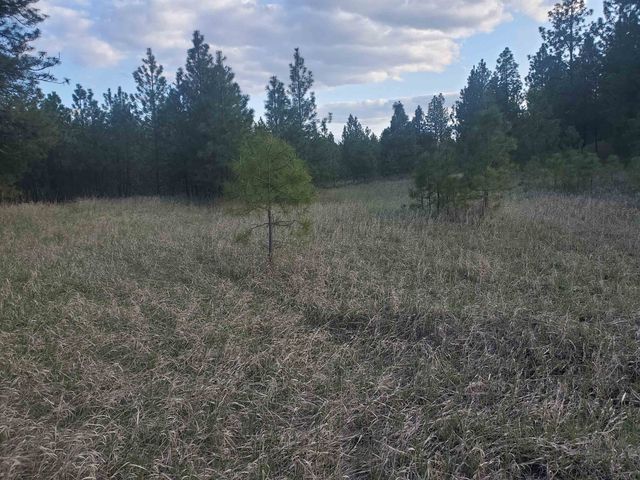 16812 W BIG SKY Ln, Nine Mile Falls, WA 99026