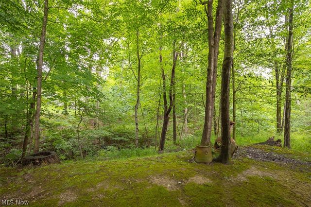 7170 Morning Star Trail, Sagamore Hills, OH 44067
