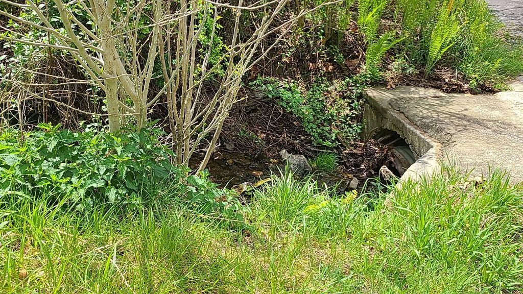 Image 4 of property listing at 6311 OLD NATIONAL PIKE, Boonsboro, MD 21713