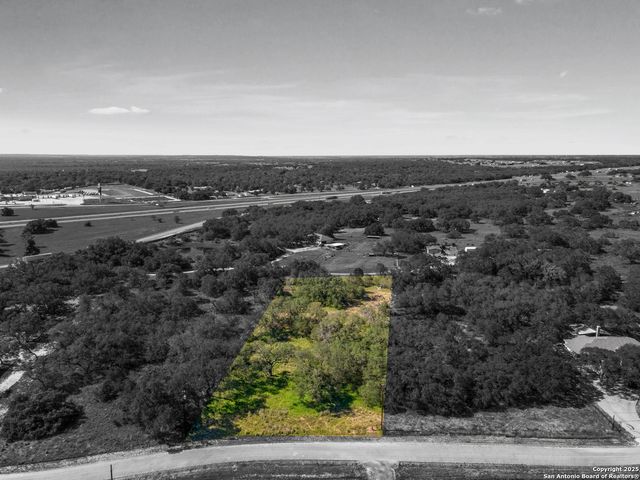163 PALOMINO TRAIL, Natalia, TX 78059