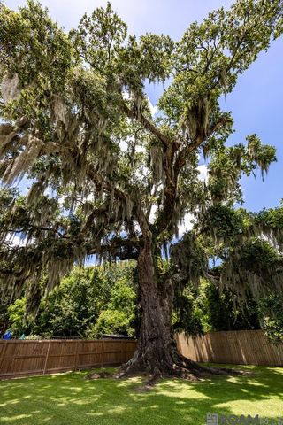 15278 Ariana Ave, Prairieville, LA 70769