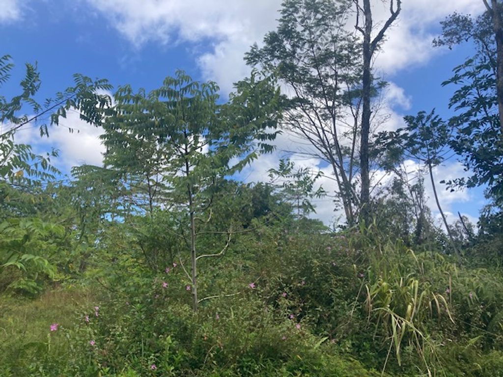 Image 1 of property listing at 14-3479 SHELL RD, Pahoa, HI 96778