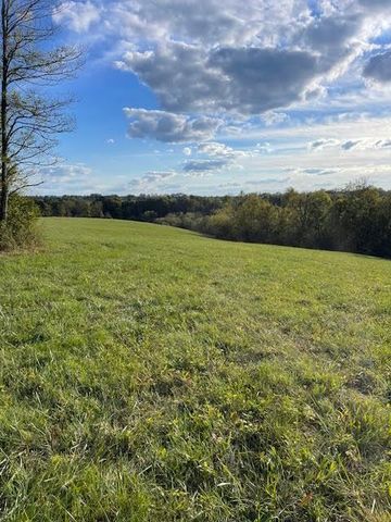 2849 Howards Mill Road, Mt Sterling, KY 40353