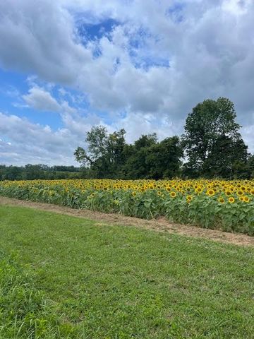 2849 Howards Mill Road, Mt Sterling, KY 40353