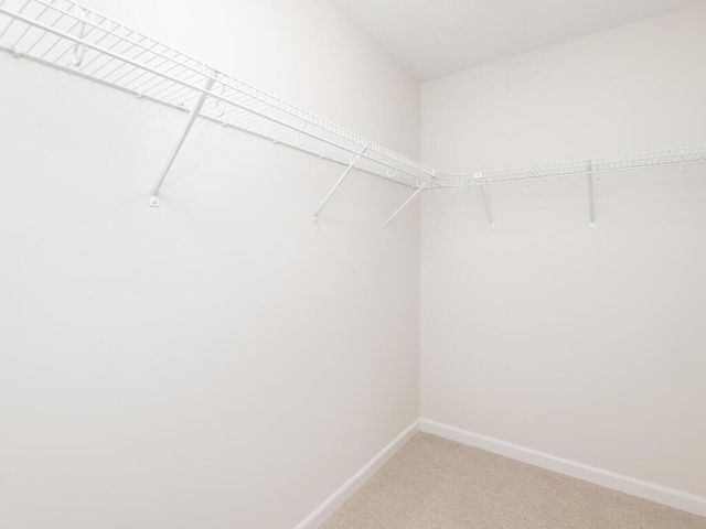 501 Tanner Drive, Waverly, MN 55390