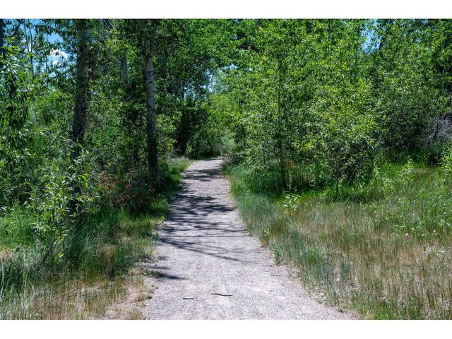 339 Lodgewood Pt, Lafayette, CO 80026