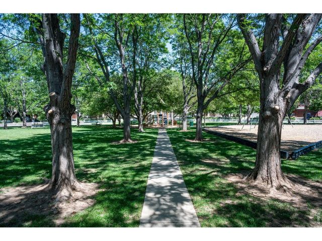 339 Lodgewood Pt, Lafayette, CO 80026