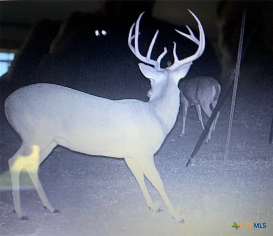 4025 County Road 284, Harwood, TX 78632