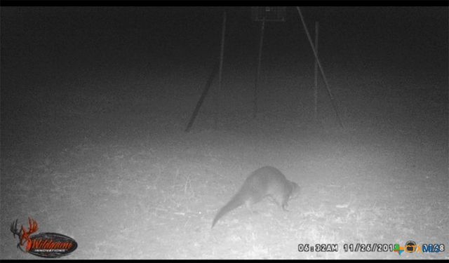 4025 County Road 284, Harwood, TX 78632