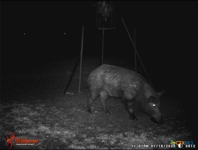 4025 County Road 284, Harwood, TX 78632