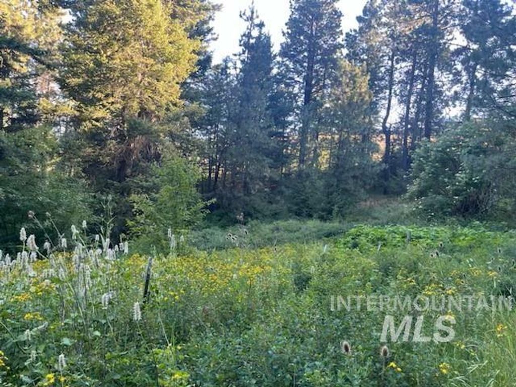 tbd Bobcat Lane, Lewiston, ID 83501