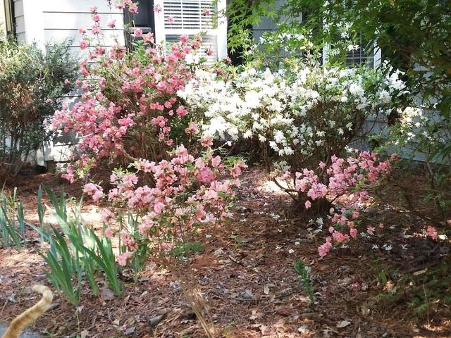 3319 Stewart Road, Monroe, GA 30655