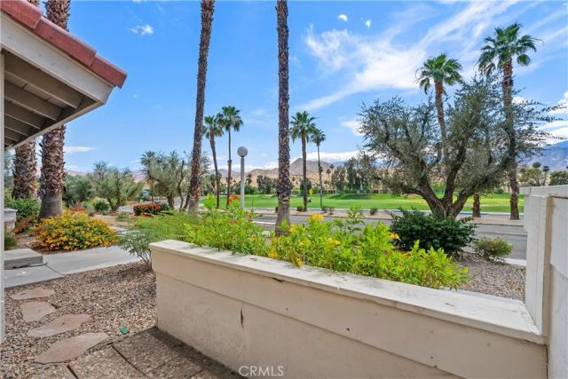 2010 Lawrence Crossley, Palm Springs, CA 92264