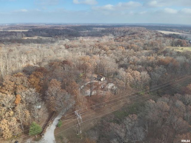 19650 N Pisque Lane, Woodlawn, IL 62898