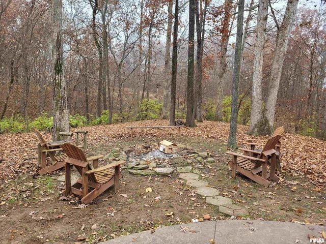 19650 N Pisque Lane, Woodlawn, IL 62898