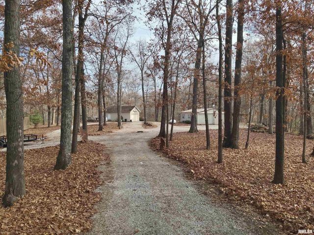 19650 N Pisque Lane, Woodlawn, IL 62898